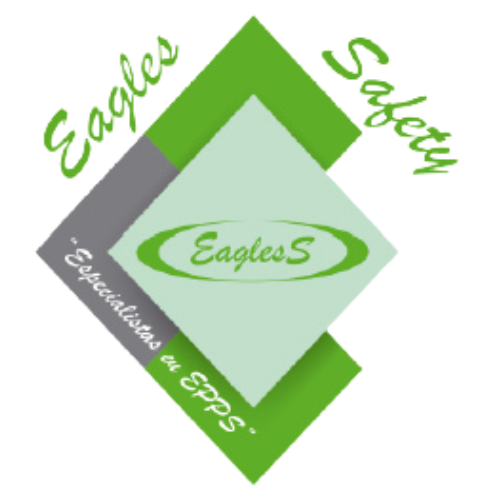 Eagles Safety